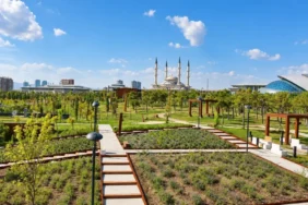 Beştepe Millet Ormanı Başkentte Doğa ve Kültürü Buluşturuyor